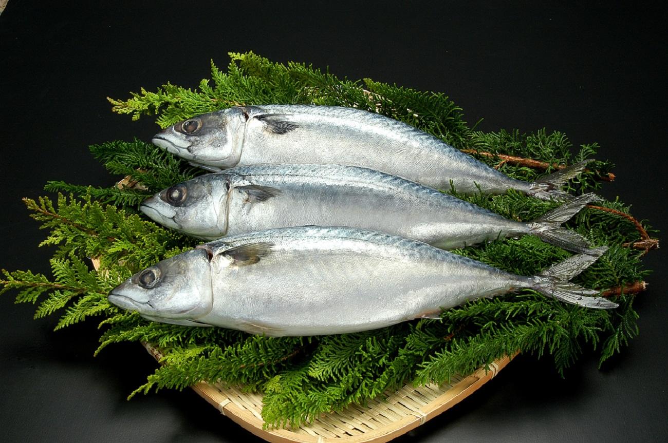 http://www.5298.jp/blog/003-045-1.jpg