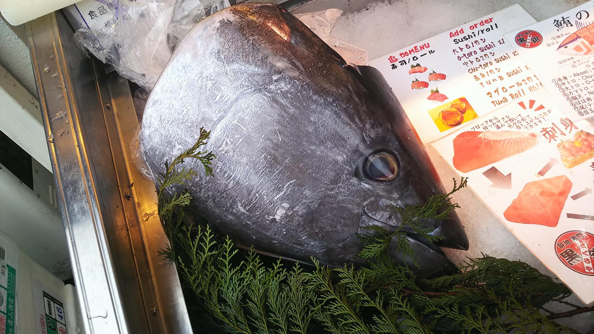 http://www.5298.jp/blog/060c95431a90aff335afbc15fd71481d2d74feb5.JPG