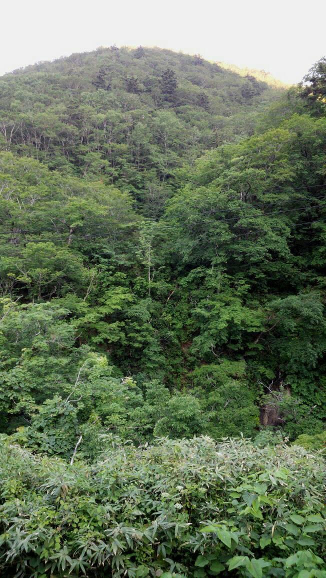 http://www.5298.jp/blog/1466661391766.jpg