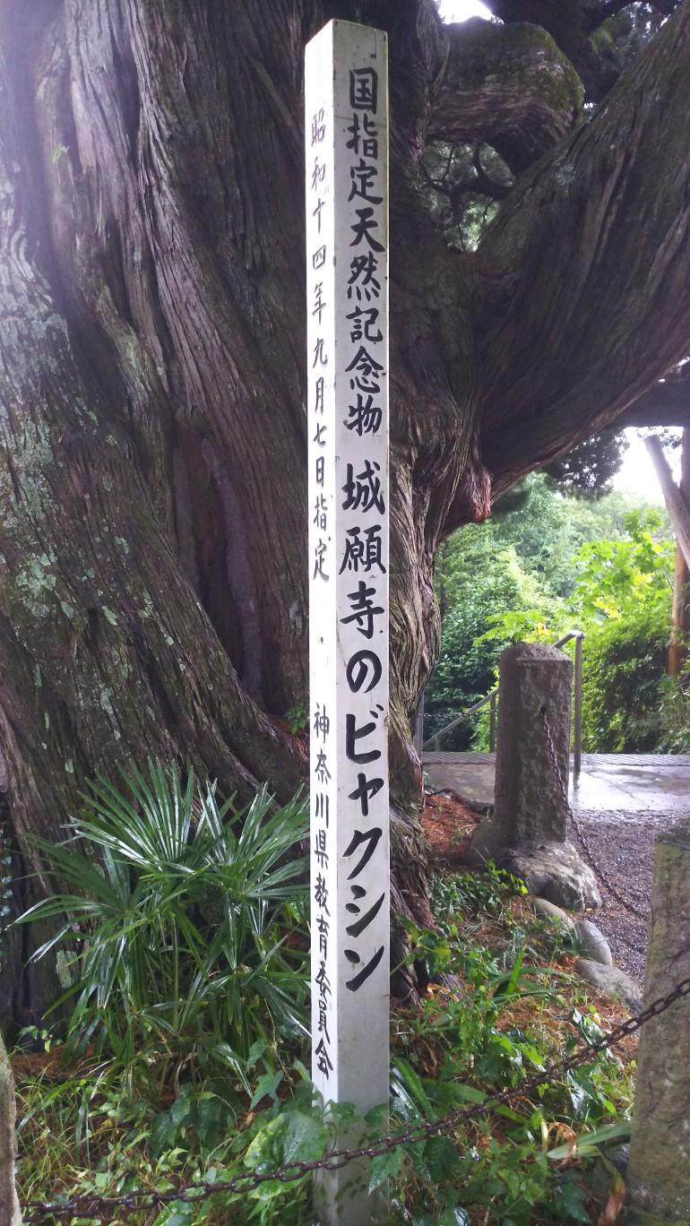 http://www.5298.jp/blog/29c6e250ad13a5f07bc4e6a77ac391039e0ddded.JPG