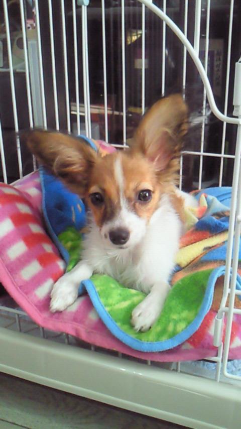 http://www.5298.jp/blog/403933_143018765813698_1936571924_n.jpg