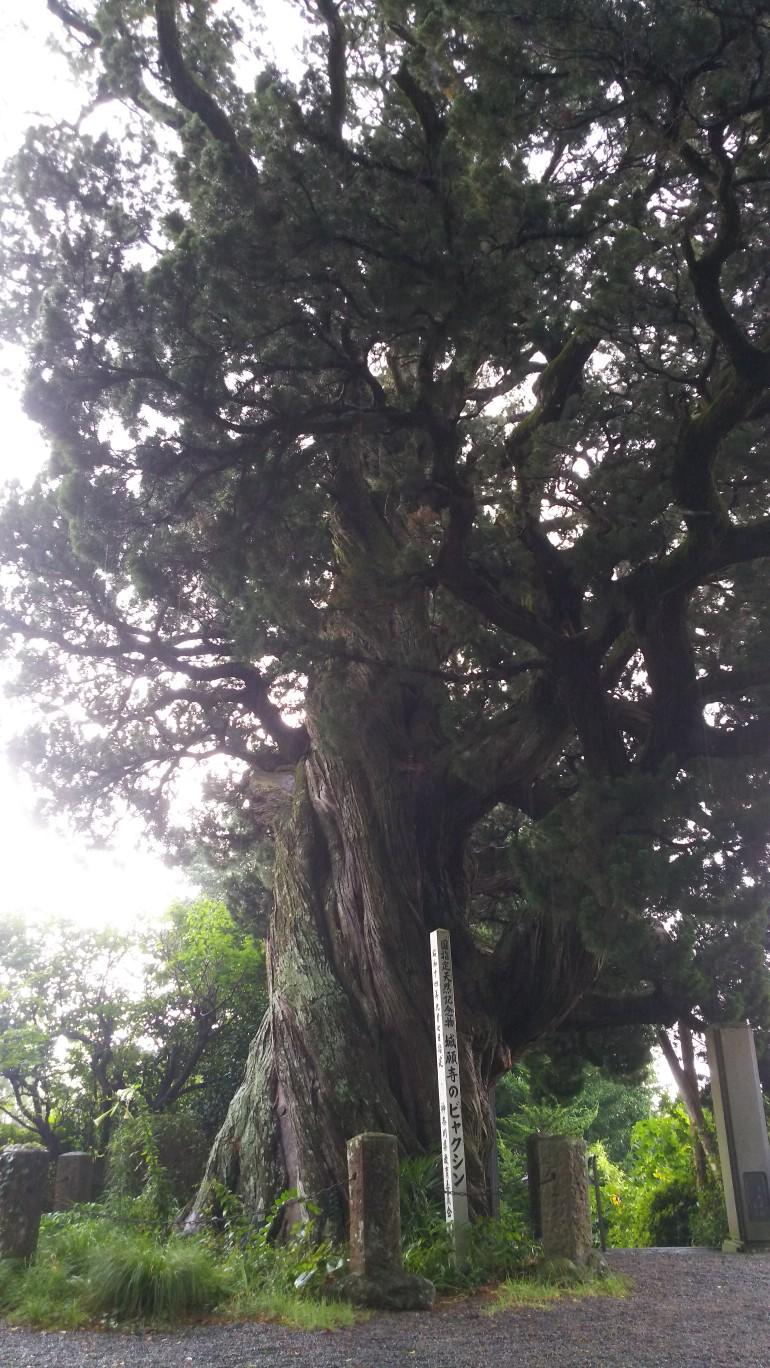 http://www.5298.jp/blog/49a0ef998e9fdf65b861c7460a01f370264359f8.JPG