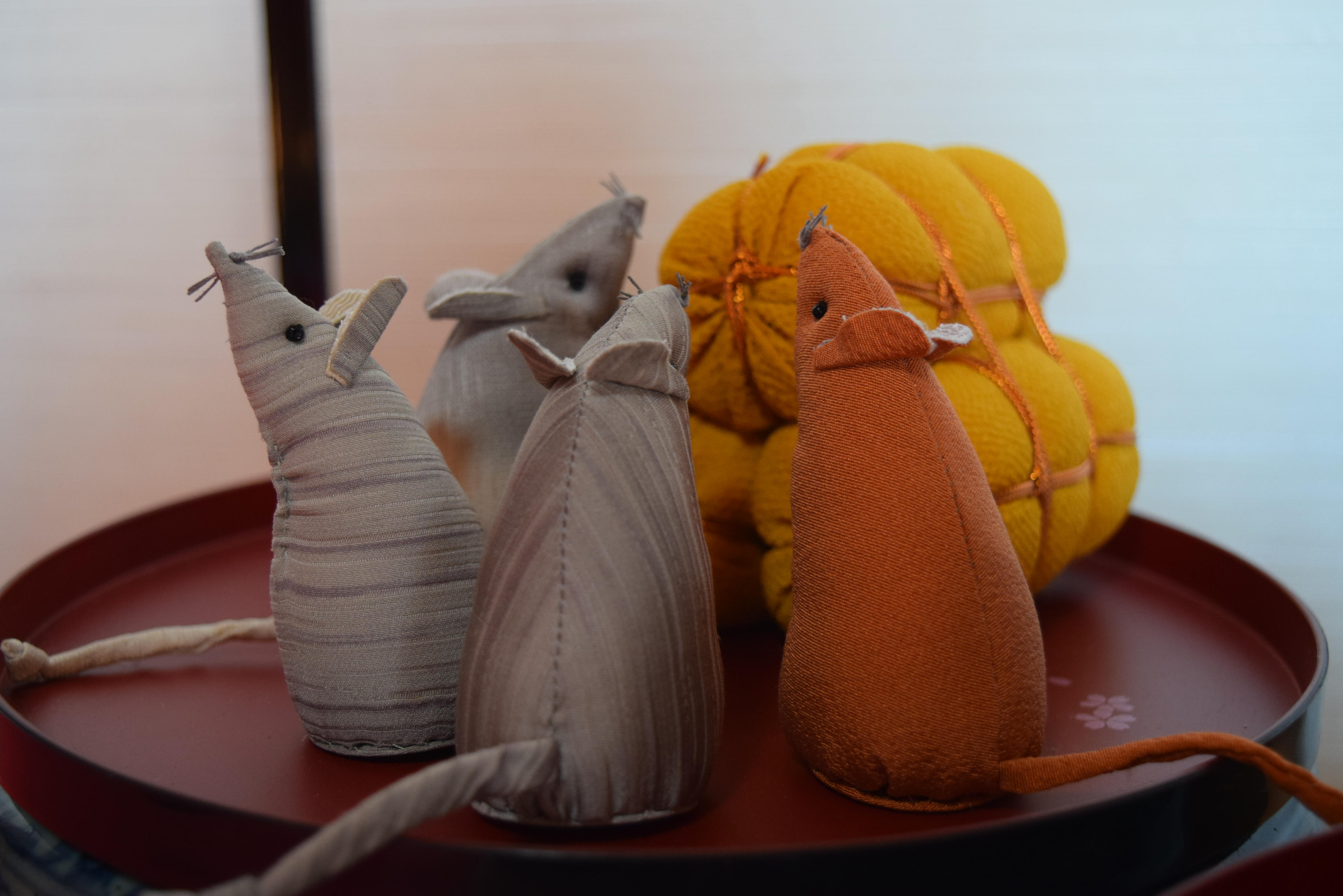 http://www.5298.jp/blog/DSC_0071.JPG