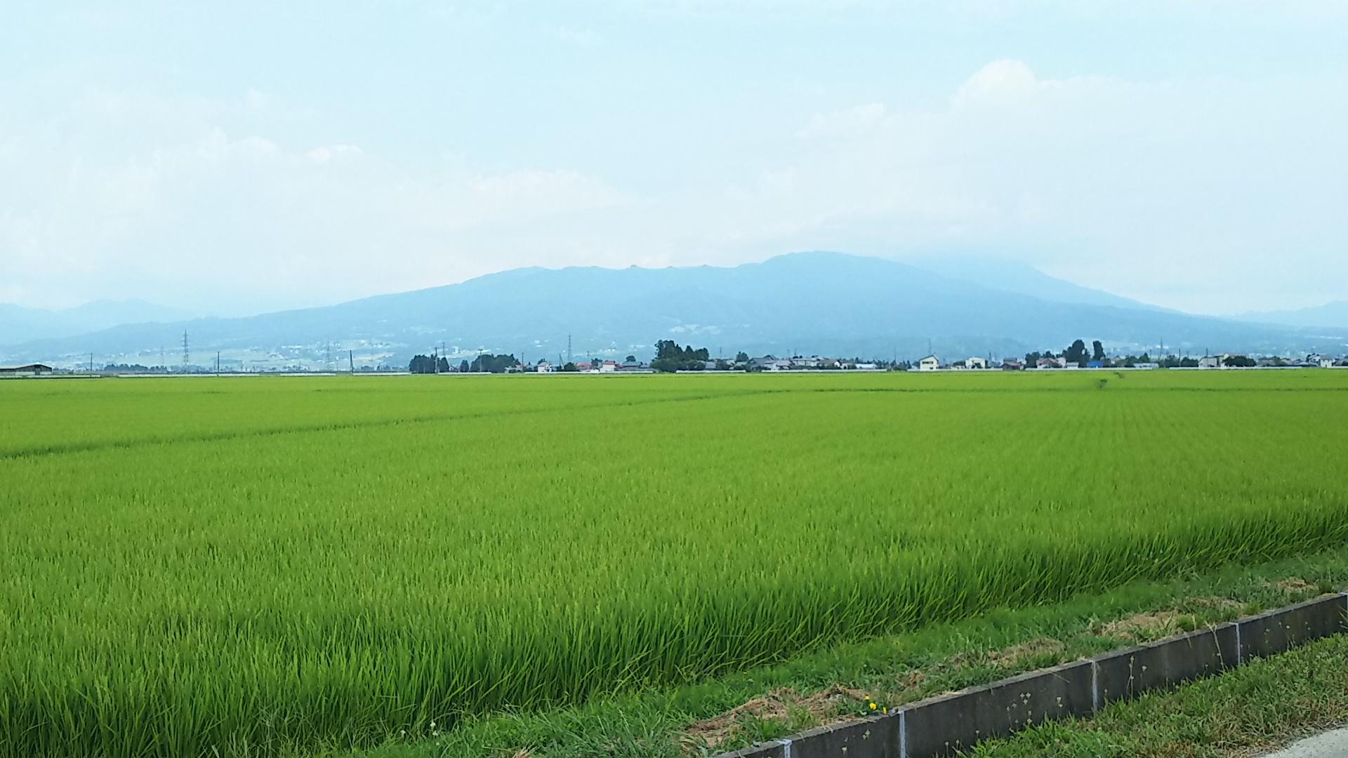 http://www.5298.jp/blog/DSC_0076.JPG