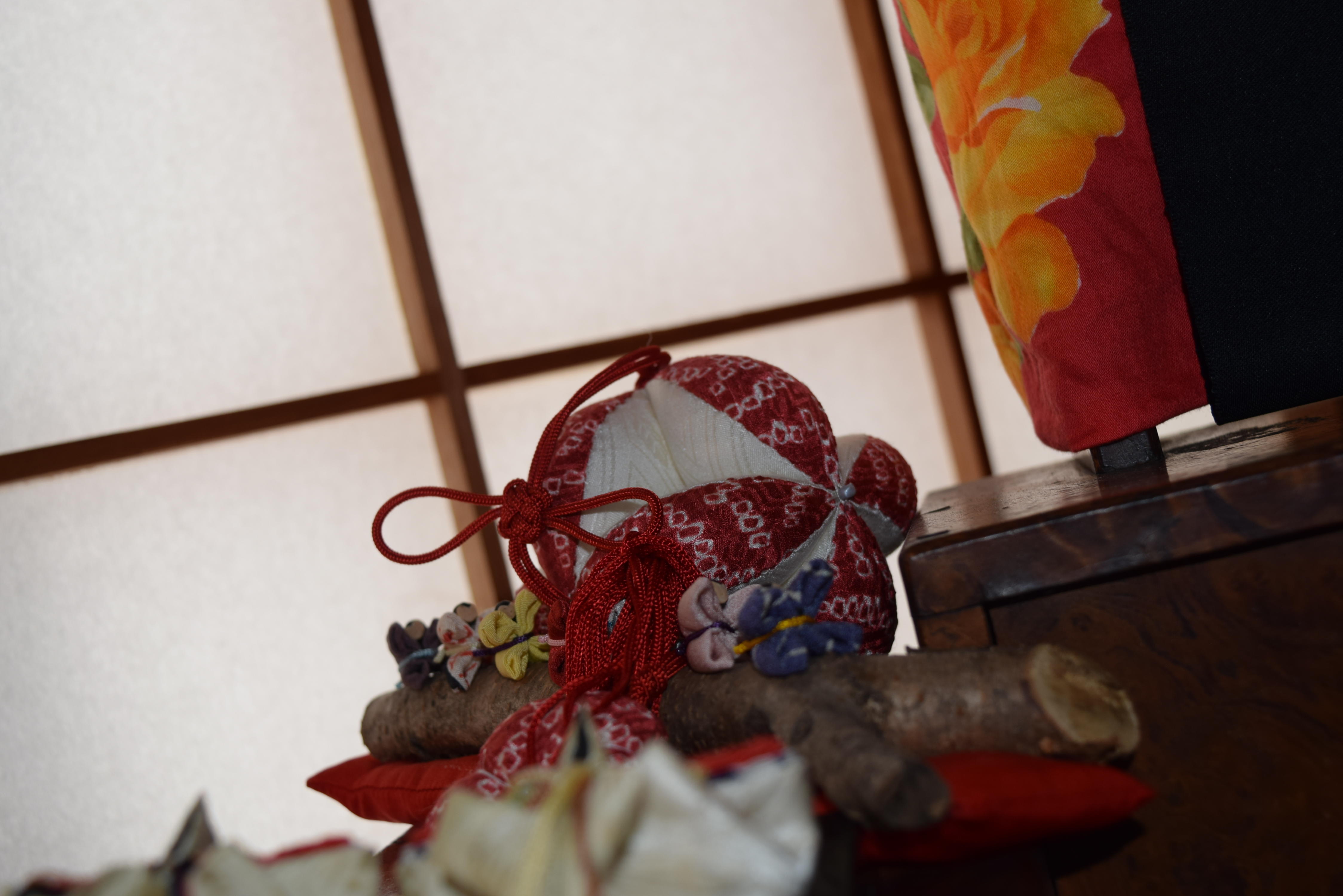http://www.5298.jp/blog/DSC_0110.JPG