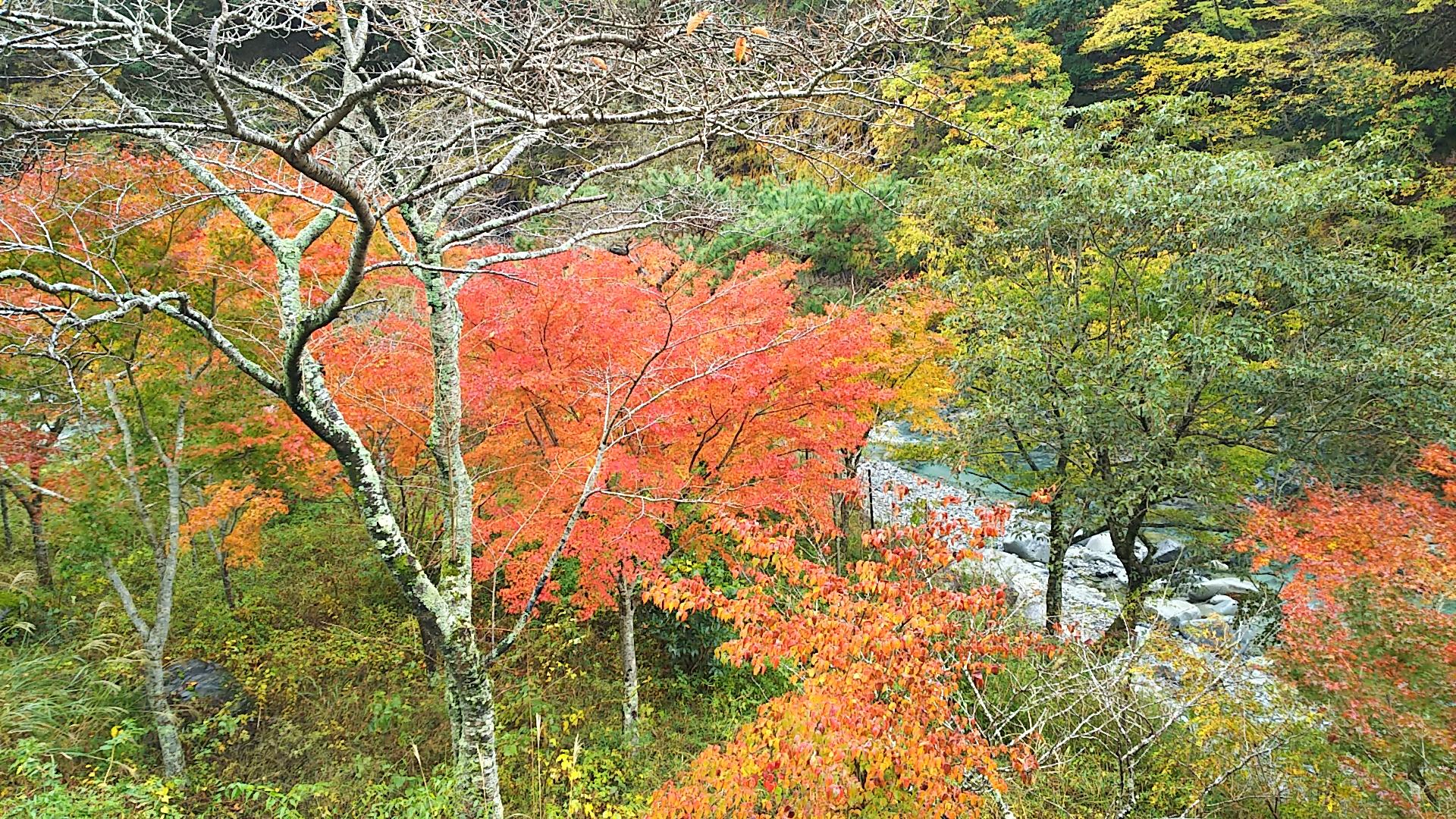 http://www.5298.jp/blog/DSC_1677.JPG