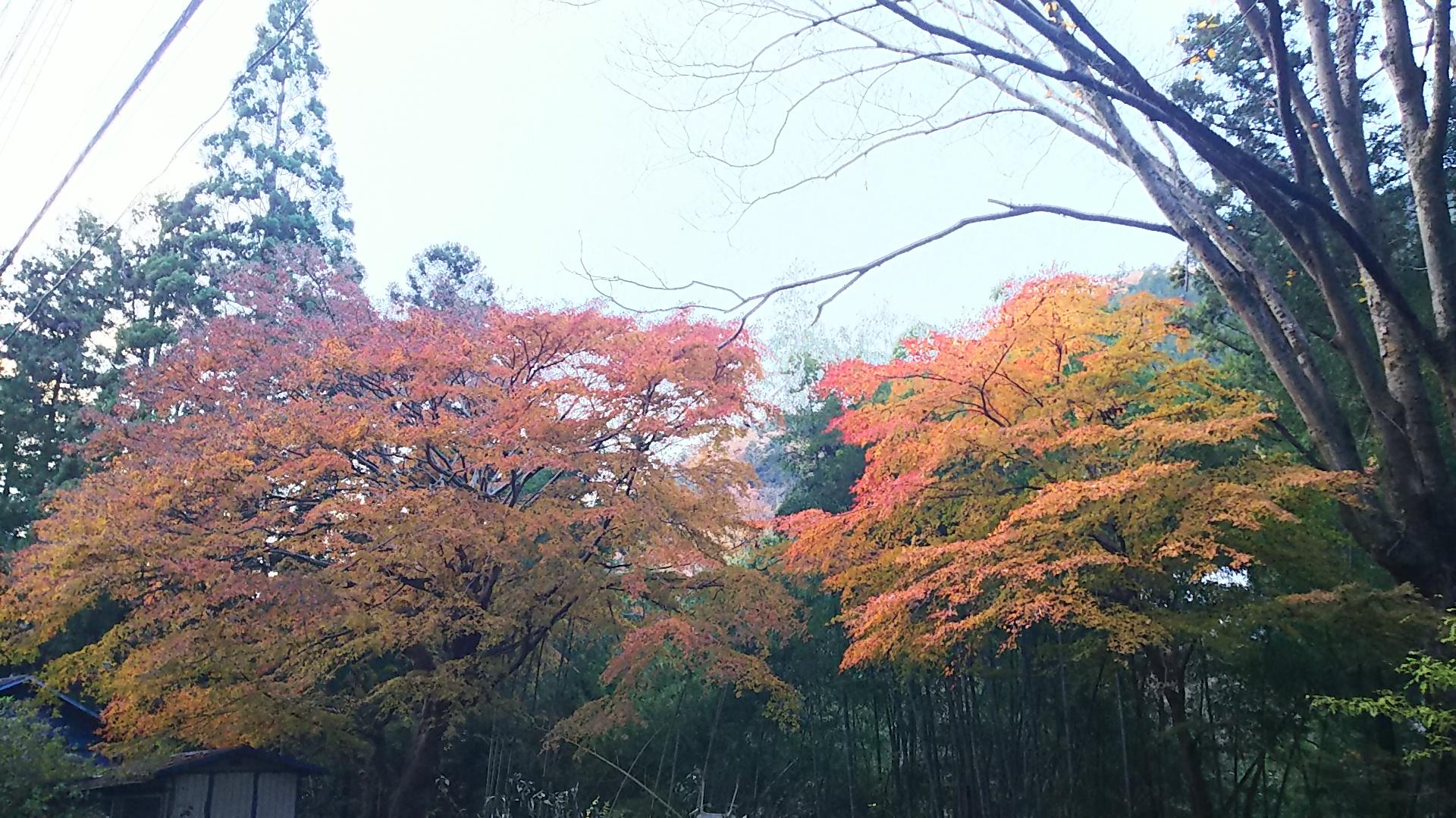 http://www.5298.jp/blog/DSC_1858.JPG