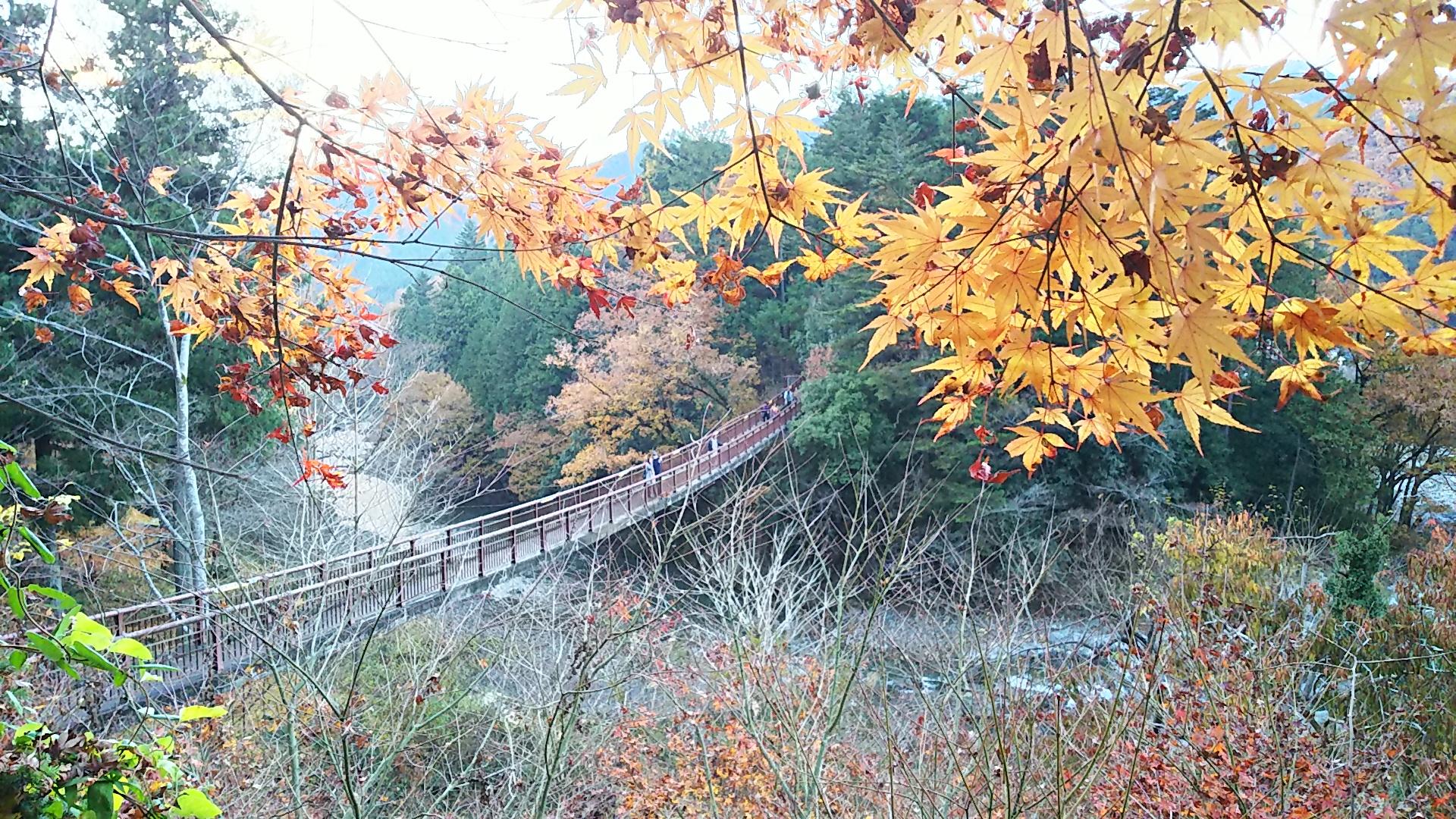 http://www.5298.jp/blog/DSC_1861.JPG