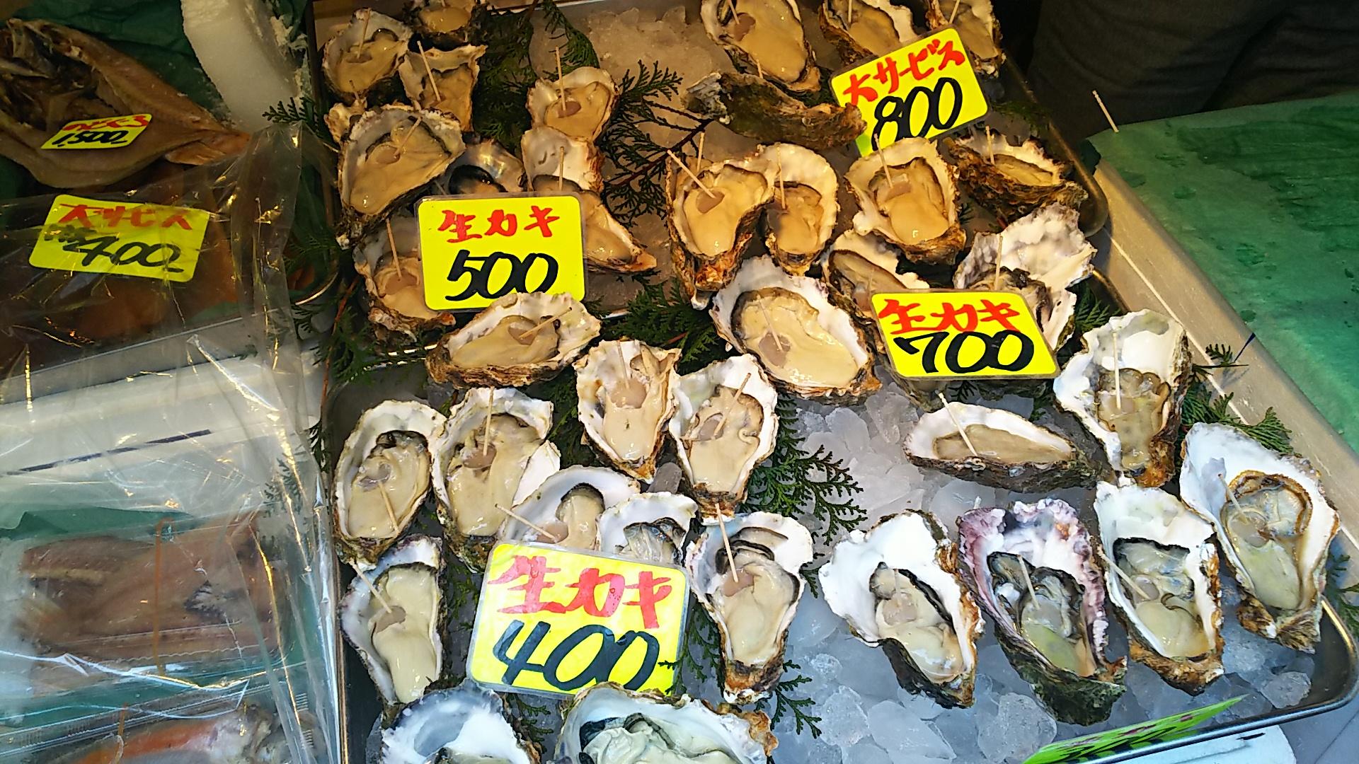 http://www.5298.jp/blog/DSC_1970.JPG