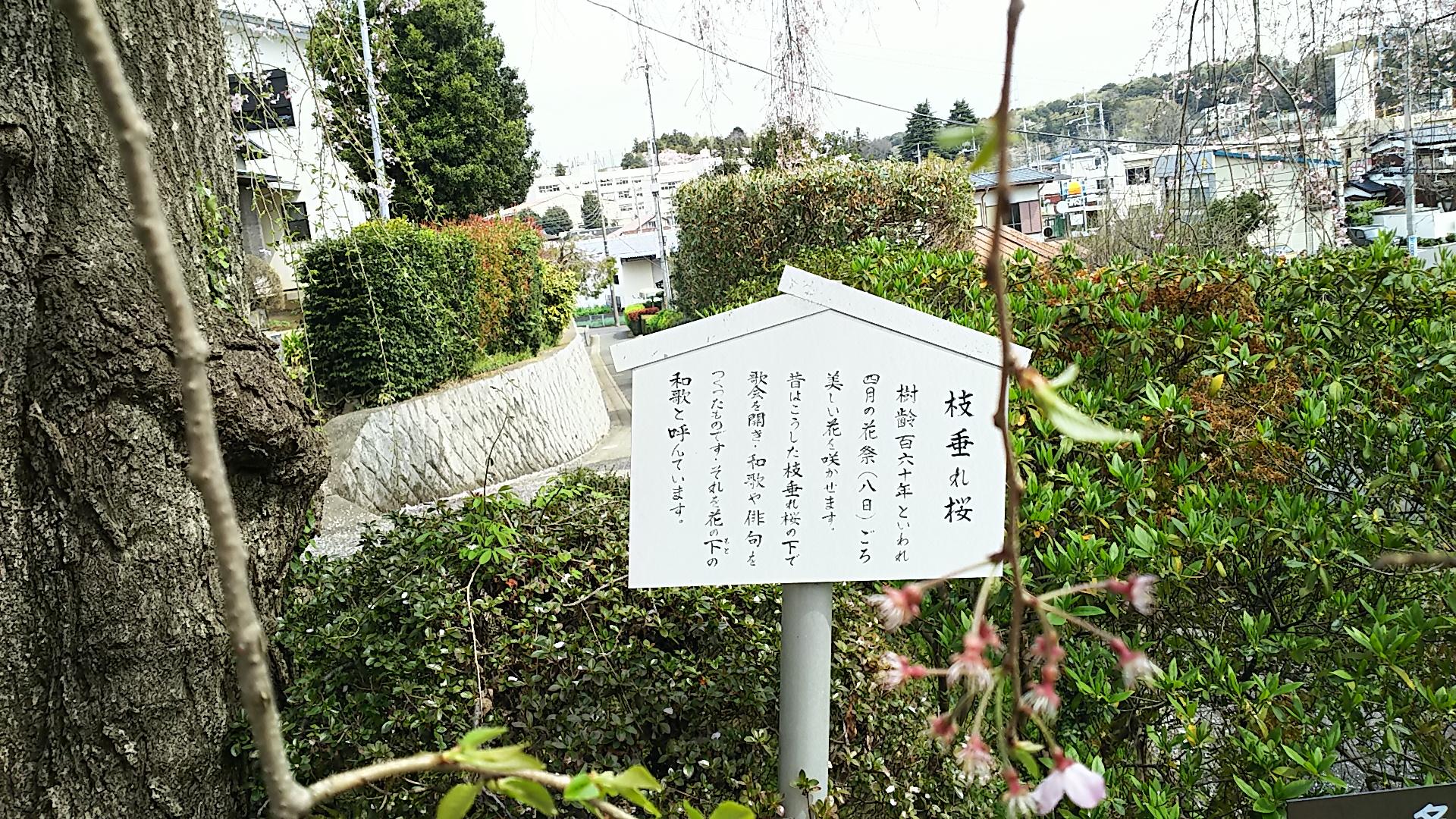 http://www.5298.jp/blog/DSC_2586.JPG