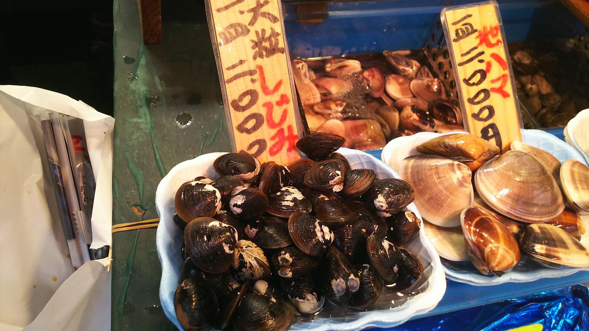 http://www.5298.jp/blog/DSC_2843.JPG