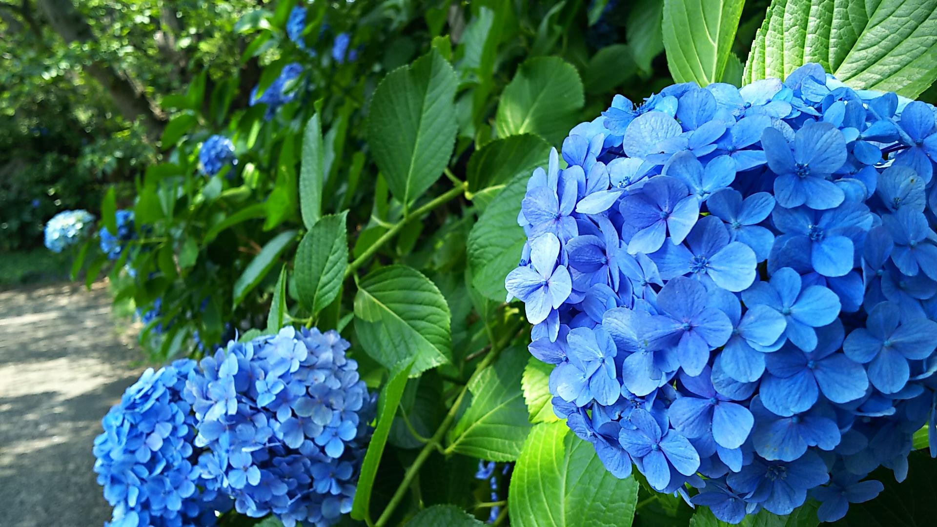 http://www.5298.jp/blog/DSC_3816.JPG