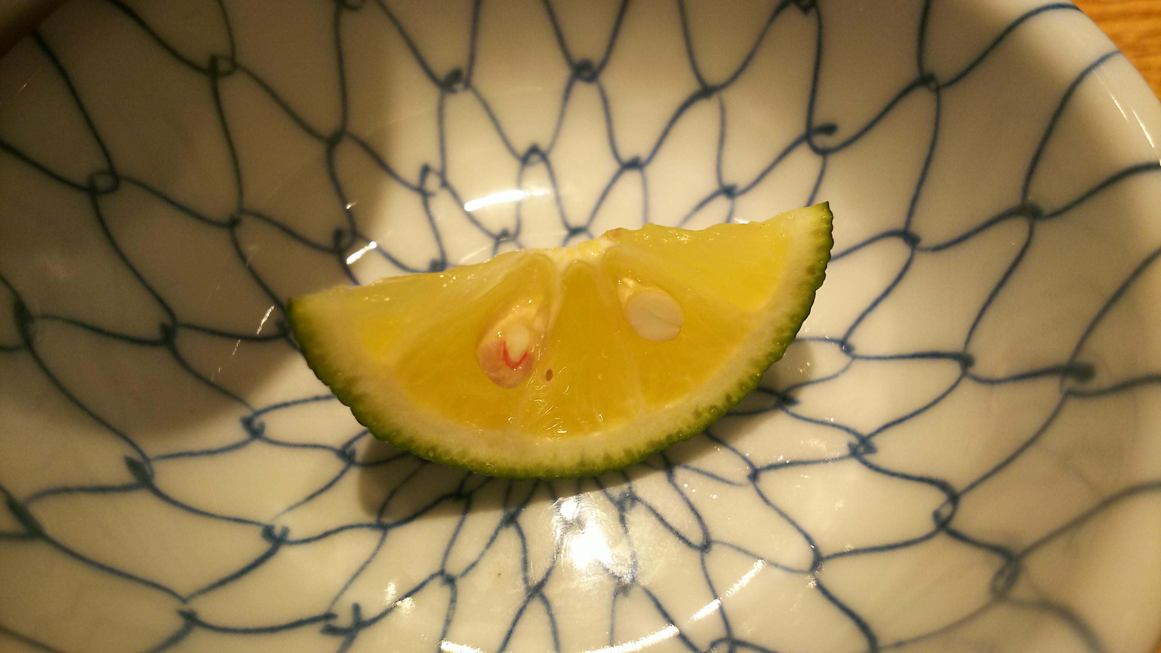 http://www.5298.jp/blog/DSC_4045.JPG