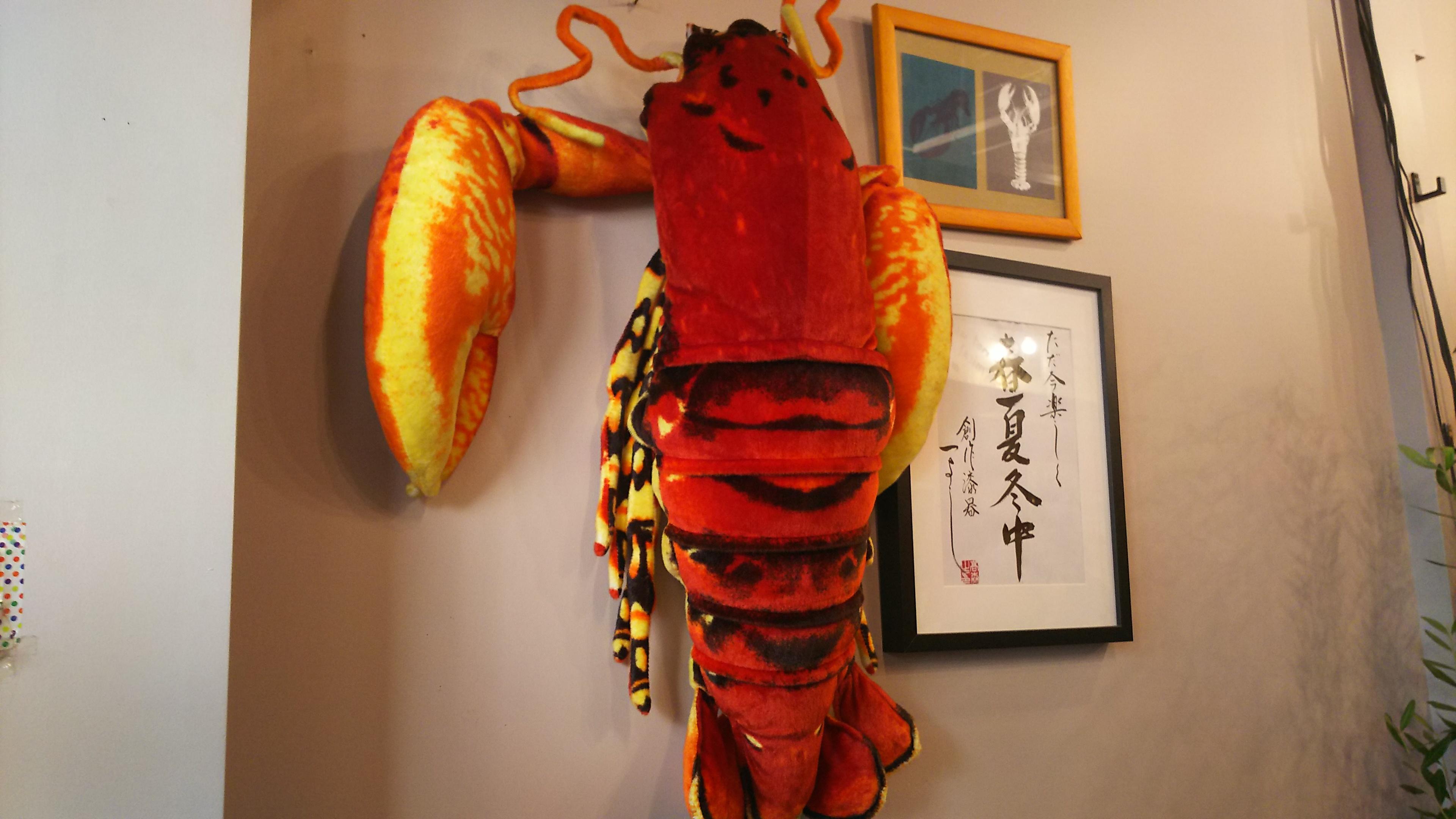 http://www.5298.jp/blog/DSC_4101.JPG