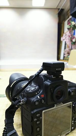DSC_1129.JPG