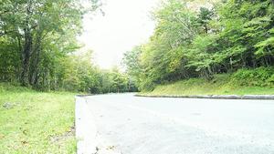 DSC_0526.JPG
