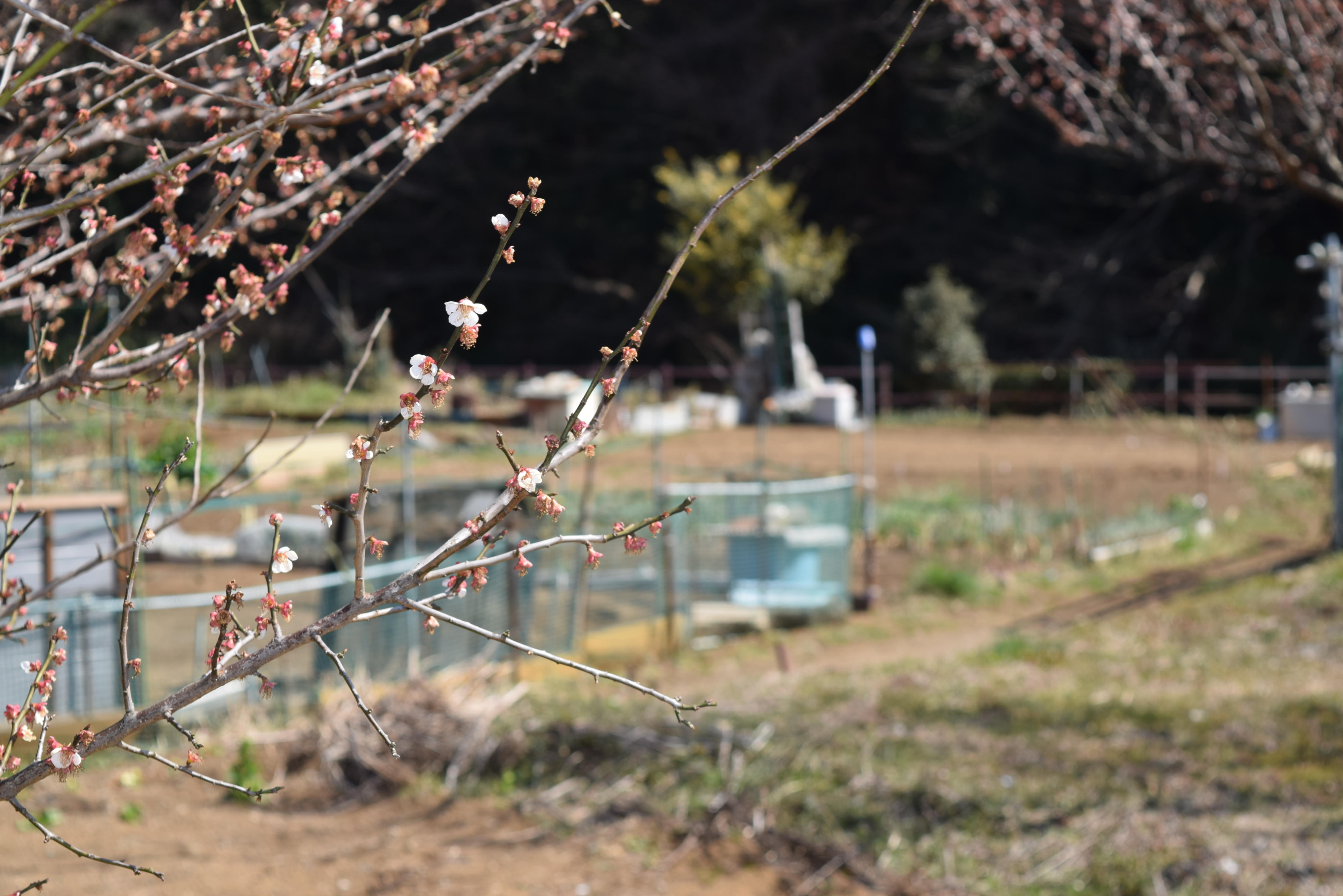 http://www.5298.jp/blog/bb9c70dbbdb7445d1a54b340396b7979f4dc53c8.JPG