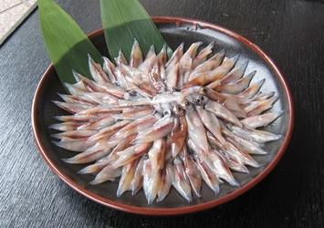 http://www.5298.jp/blog/imgrc0114665350.jpg